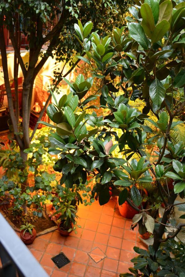 Hotel Casa Guiva Oaxaca Екстер'єр фото