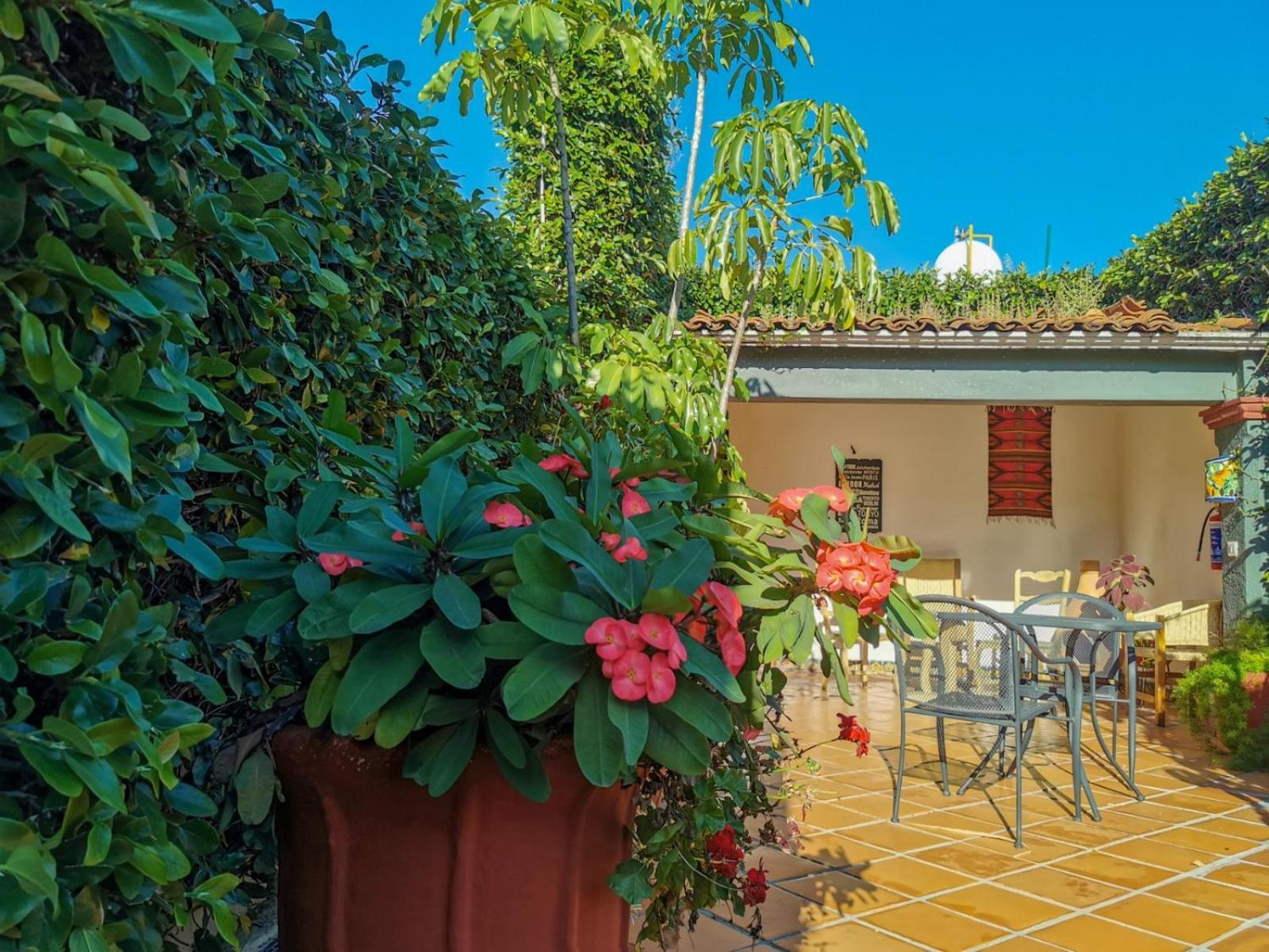 Hotel Casa Guiva Oaxaca Екстер'єр фото