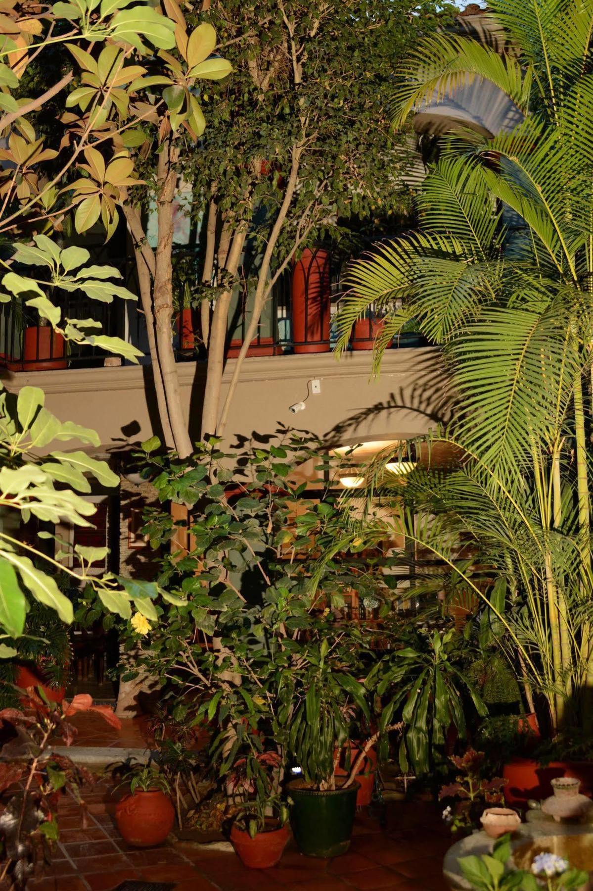 Hotel Casa Guiva Oaxaca Екстер'єр фото